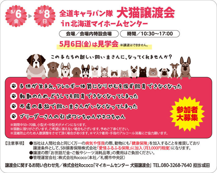 犬猫譲渡会.jpg