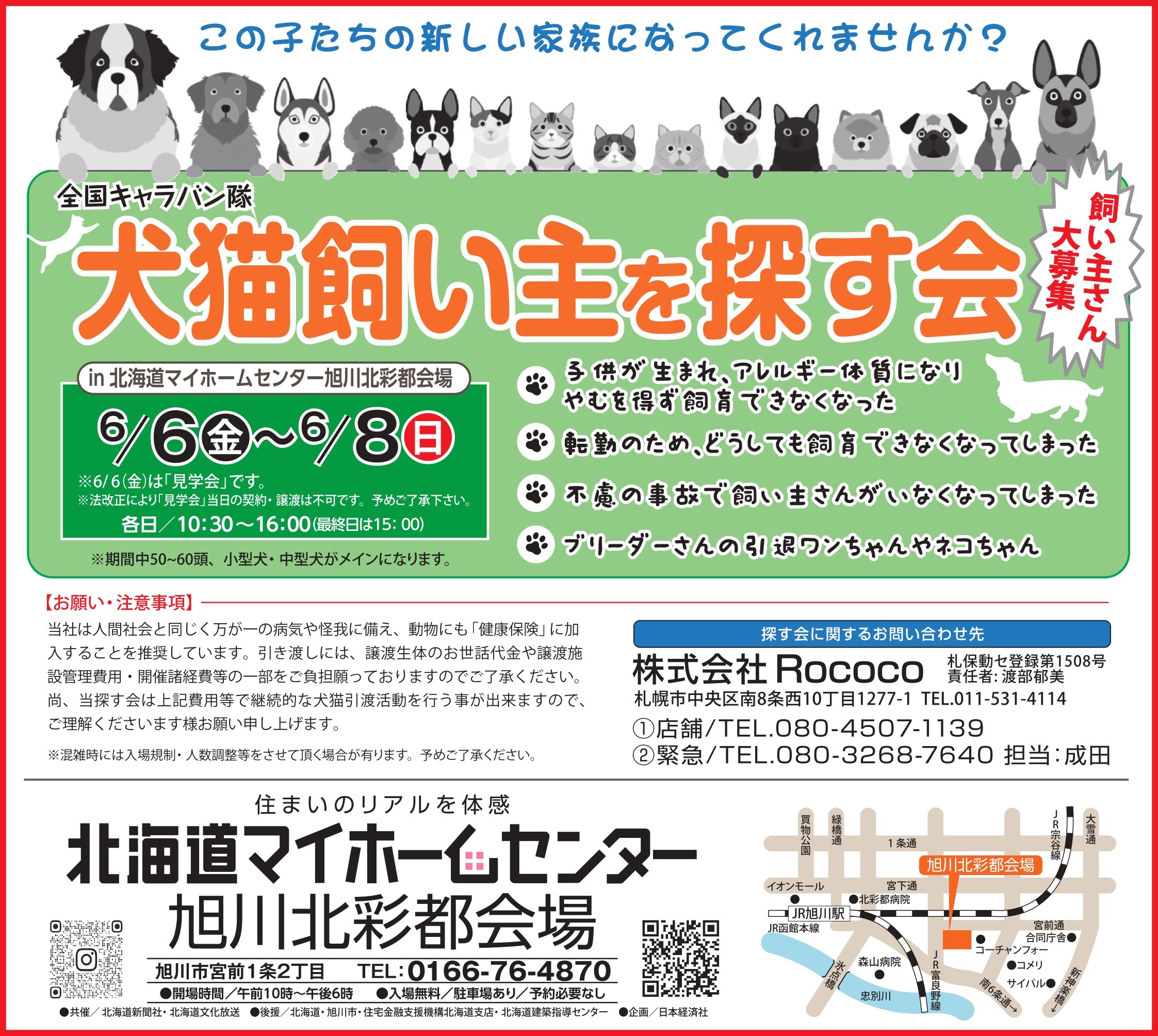 202505270603犬猫半5_page-0001.jpg