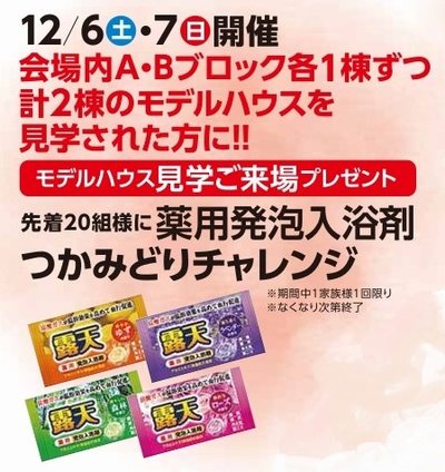 12.6薬用発泡入浴剤つかみどり.jpg