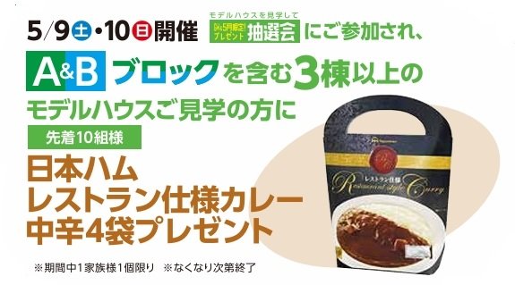 レストラン仕様カレープレゼント.jpg
