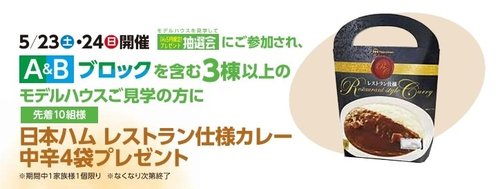 2324カレープレゼント.jpg