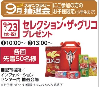スクリーンショット_25-8-2026_13467_.jpeg
